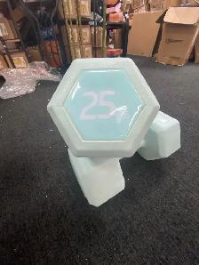 25lbs Dumbbell Set of 2 (Mint Blue)