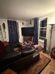 Bright Fully Furnished Apartment in Griffintown, Move-in Sept 1
