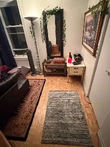 Bright Fully Furnished Apartment in Griffintown, Move-in Sept 1 - Photo 2