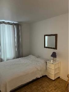 Bright Fully Furnished Apartment in Griffintown, Move-in Sept 1 - Photo 4