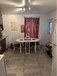 Bright Fully Furnished Apartment in Griffintown, Move-in Sept 1 - Photo 7