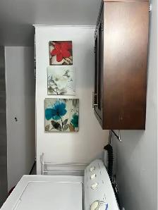 Bright Fully Furnished Apartment in Griffintown, Move-in Sept 1 - Photo 9