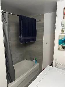 Bright Fully Furnished Apartment in Griffintown, Move-in Sept 1 - Photo 11