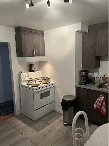 Bright Fully Furnished Apartment in Griffintown, Move-in Sept 1 - Photo 16
