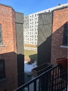 Bright Fully Furnished Apartment in Griffintown, Move-in Sept 1 - Photo 18