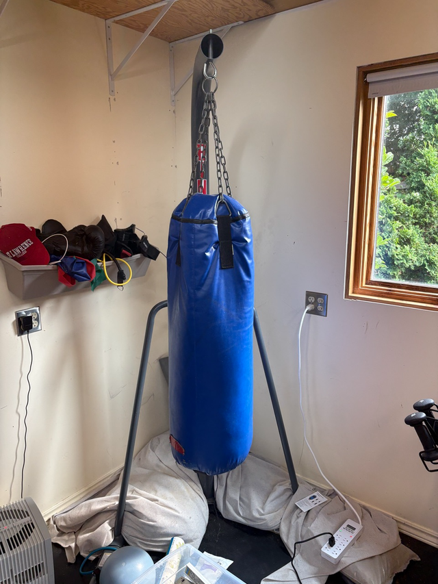 Free - Punching Bag