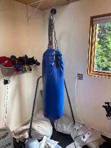 Free - Punching Bag