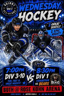 Shinny/ Hockey - Photo 3