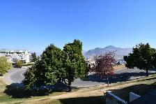 Panorama Village #12 - Photo 15
