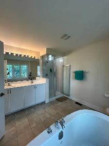 Best Deal! Very Bright! Really Big! One Bedroom Unit Rent - Photo 10