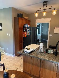 kitchen refacing services - Photo 2