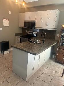 kitchen refacing services - Photo 4