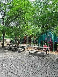 Grand 3 1/2 chauffé à louer au Plateau Mont-Royal - Photo 12