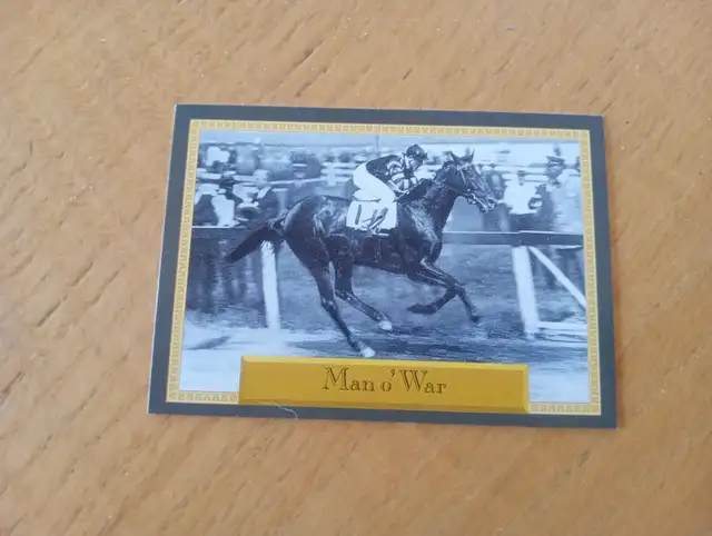 Carte PROMO Horse Star Daily Racing Form 1996 Man o '270726-242