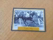 Carte PROMO Horse Star Daily Racing Form 1996 Man o '270726-242