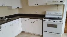 154 Leinster Street,  Apt 2 - Photo 3