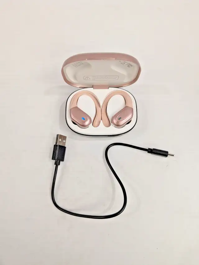 (B2770) Catitru bx17 Headphones (in case with usb)