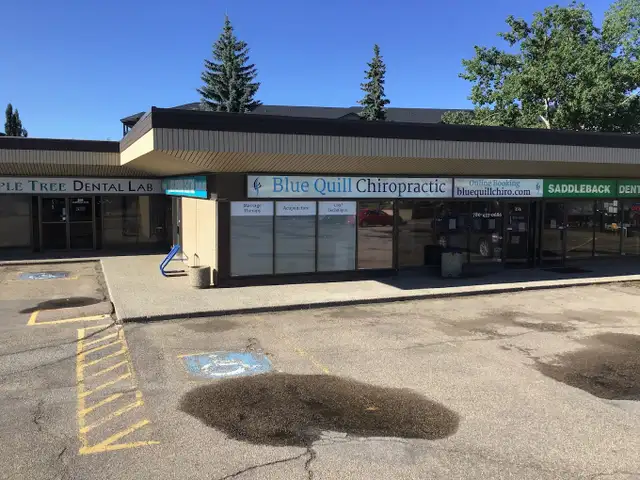 Seeking temporary part time receptionist for south Edmonton