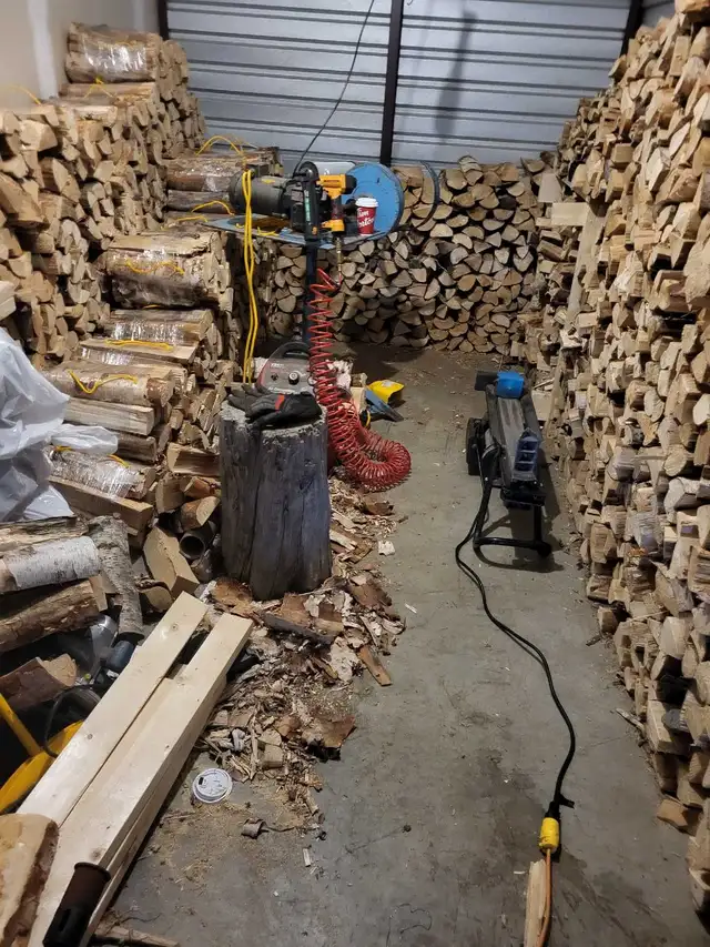 Birch bundles
