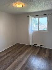 Spacious and Bright! 2br Apartment, Heart of Westfort - $1800  H - Photo 5