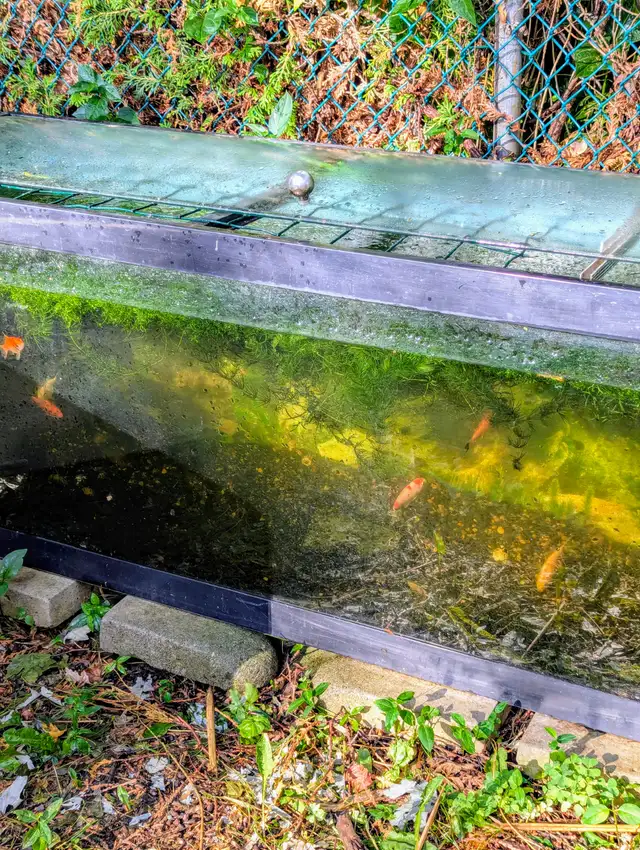 Used Aquarium, Fish Tank