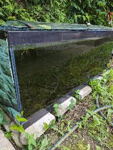 Used Aquarium, Fish Tank - Photo 3