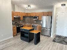 South Terwillegar 2 Bedroom   Den Condo - Photo 2
