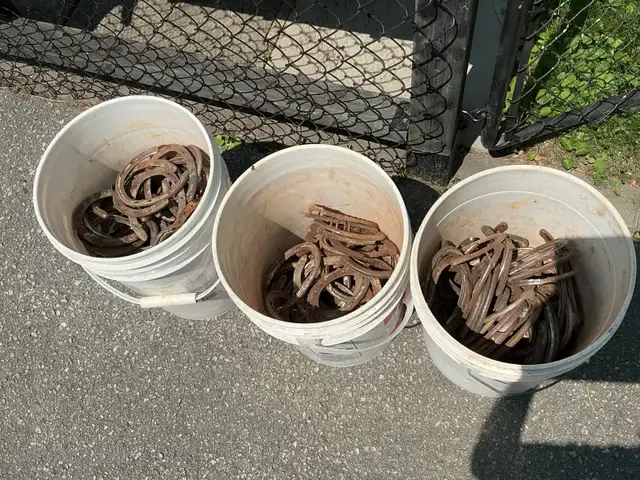 3 Pails of LUCKY Antique Blacksmith Made Iron Horseshoes !