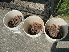 3 Pails of LUCKY Antique Blacksmith Made Iron Horseshoes !