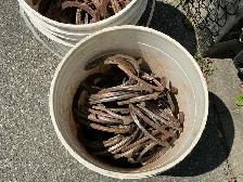 3 Pails of LUCKY Antique Blacksmith Made Iron Horseshoes ! - Photo 4