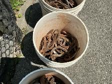 3 Pails of LUCKY Antique Blacksmith Made Iron Horseshoes ! - Photo 7