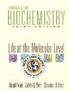 Fundamentals of Biochemistry 3E by Donald Voet 9780470129302