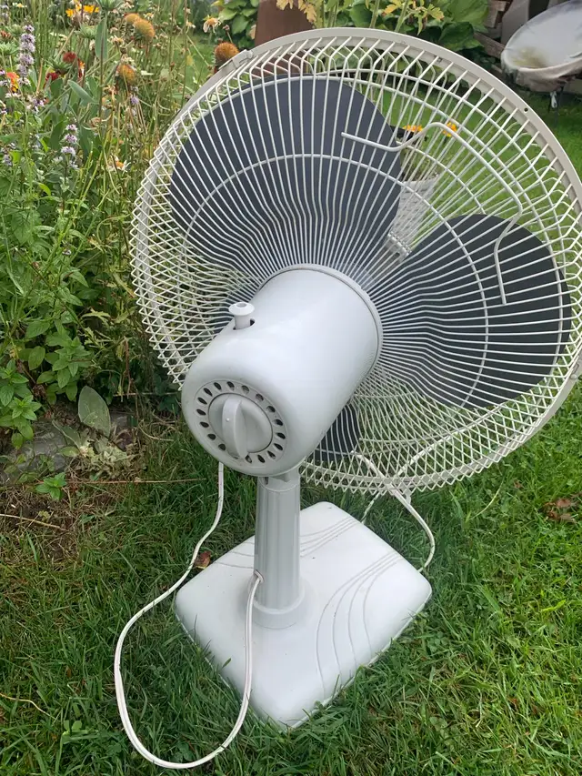fan Oscillating fan