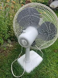 fan Oscillating fan