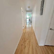 Superbe 4 ½ très lumineux et fraîchement rénové à Longueuil. - Photo 3