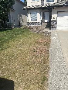 landscaping workers needed