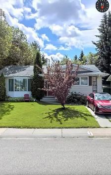Aldergrove Basement Suite - Photo 6