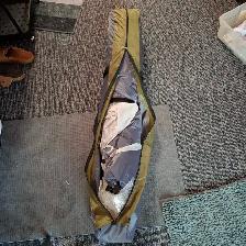 new tent $50 3 person - Photo 2