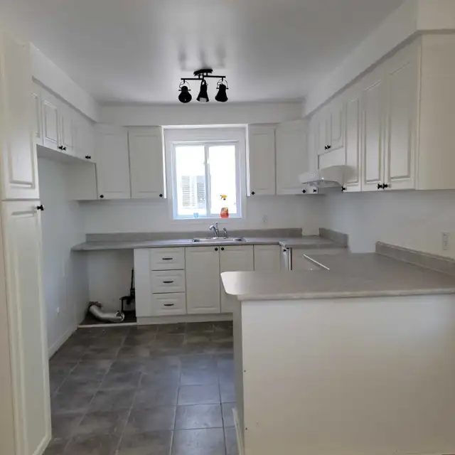 Superb Very Bright and Freshly Renovated 4½ in Longueuil.