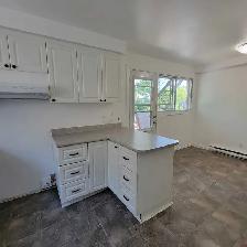Superb Very Bright and Freshly Renovated 4½ in Longueuil. - Photo 3