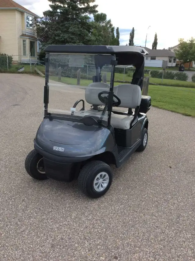 2022 EZGO RXV Golf Cart