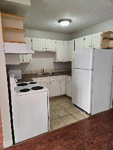 ✨ COZY • QUIET • PET-FRIENDLY ✨Beautiful 2 Bedroom — TOP FLOOR - Photo 3