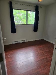 ✨ COZY • QUIET • PET-FRIENDLY ✨Beautiful 2 Bedroom — TOP FLOOR - Photo 11