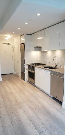 Premium 1 Bedroom   Flex   Balcony Condo Unit - Photo 3