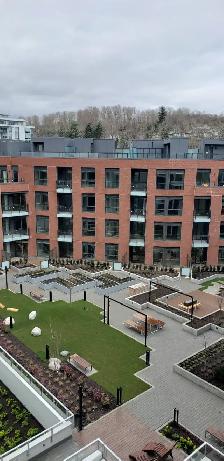 Premium 1 Bedroom   Flex   Balcony Condo Unit - Photo 8