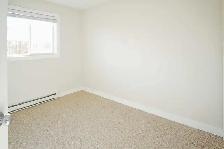 SPACIOUS 3 bed 1 bath House - With Yard! - Photo 4