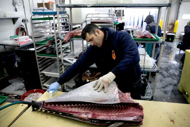 Job: Fish-Cutter Brampton, ON Early Morning