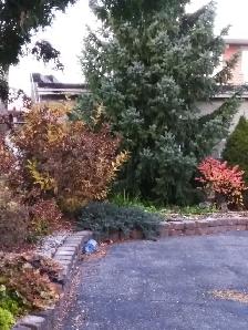 Rooms for student, professional short/long term rental! - Photo 5