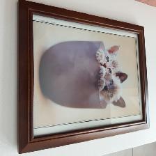 BEAUCADRE VITRÉ 10'x12' MONTRANT 2 CHATS AUX YEUX BLEUS: $15.00 - Photo 3