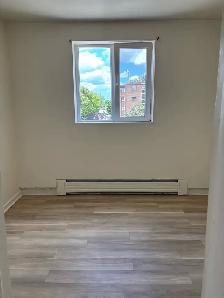 2 Bed Apartment in Richmond Hill for Rent - Photo 3